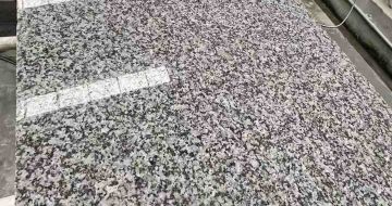 丽水 芙蓉白光面