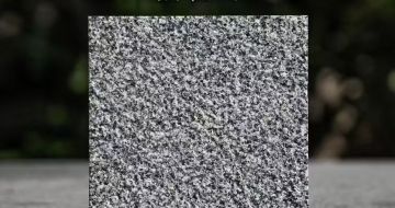 丽水 芝麻黑荔枝面