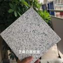 丽水 芝麻白荔枝面干挂