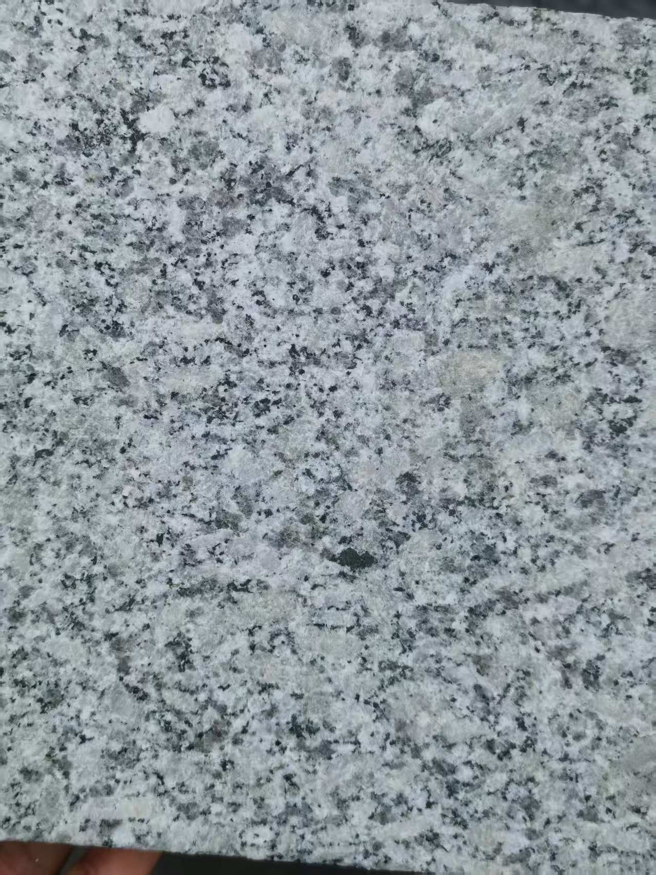 丽水 芙蓉白火烧面