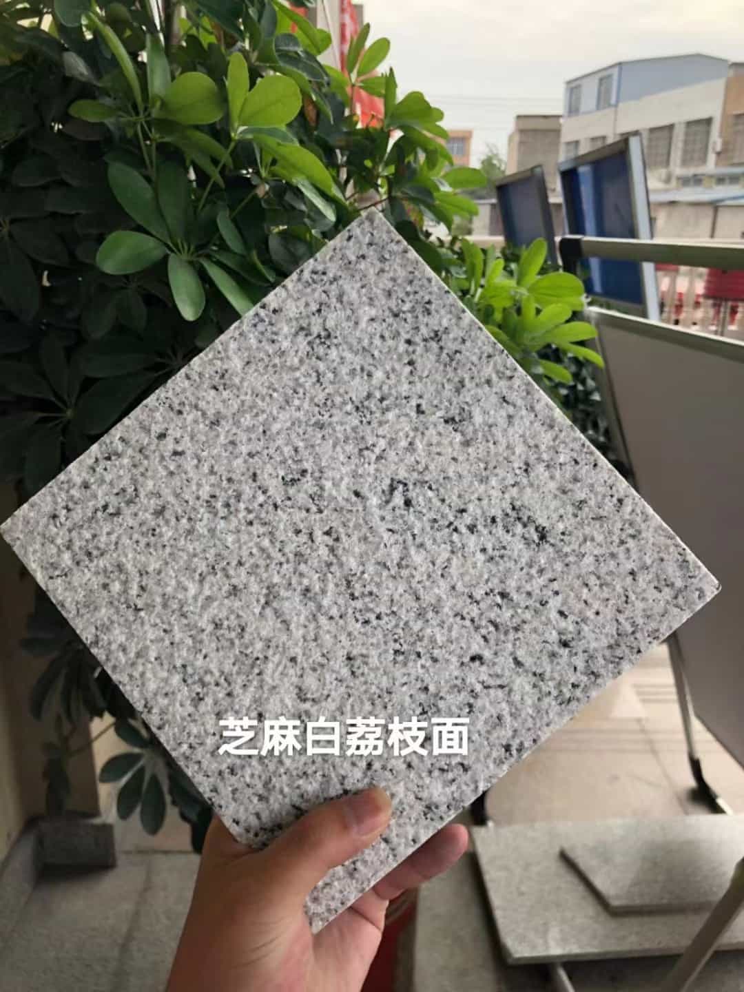 丽水 芝麻白荔枝面干挂