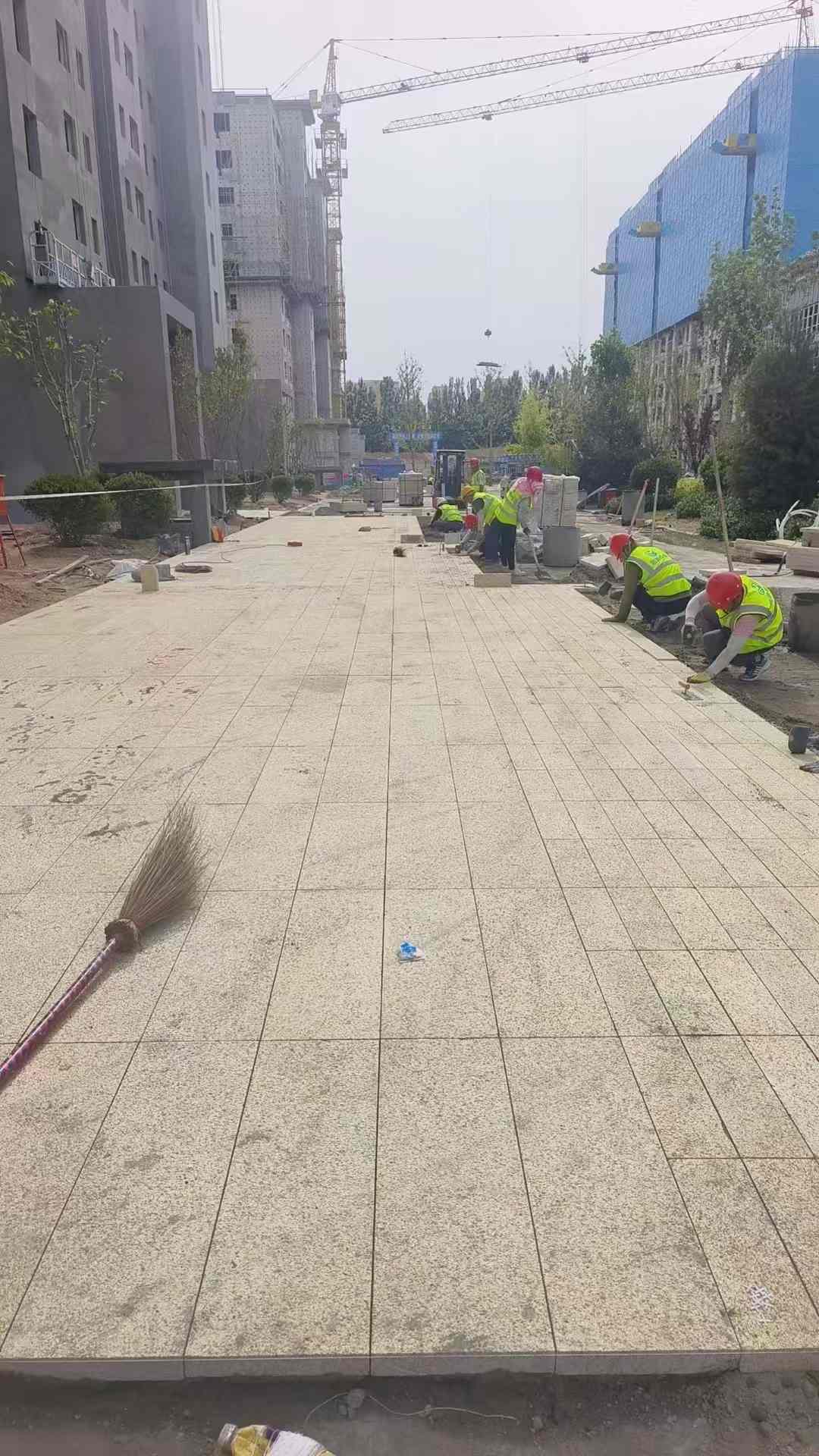 丽水黄金麻荔枝面地铺案例